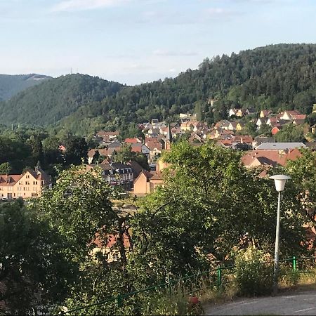 Appartamento Chez Jose Rothau Esterno foto